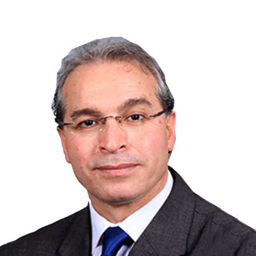 Prof. Malik Maaza